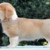 Learning to stand on the table.