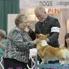 Table exam during Best In Show, Judge Virginia Lyne.