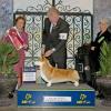 BIS #7, Judge Patricia Trotter, Charleston Kennel Club