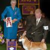 BOS, Judge Joy Brewster, Westminster Kennel Club 2012.
