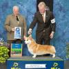 Group 1, Judge Tom Hale, Piedmont Kennel Club 2012