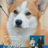Dog News Ad, April 2012