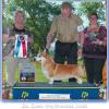 BIS #10, Judge Carol White-Moser, Wallkill Kennel Club, June 2012