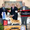 Group 1, Judge Carl Gene Liepmann, Atlanta Kennel Club.